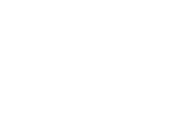 dicipa